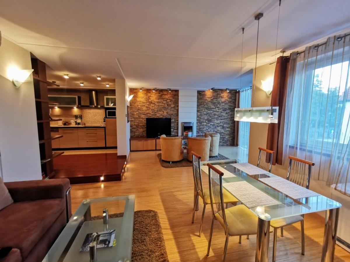 Uroczy Apartament Przy Deptaku Z Parkingiem. Поляница-Здруй Экстерьер фото